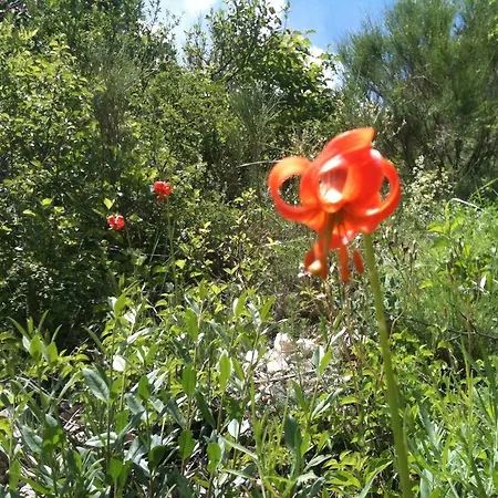 Le Pelens Saint-Martin-dʼEntraunes